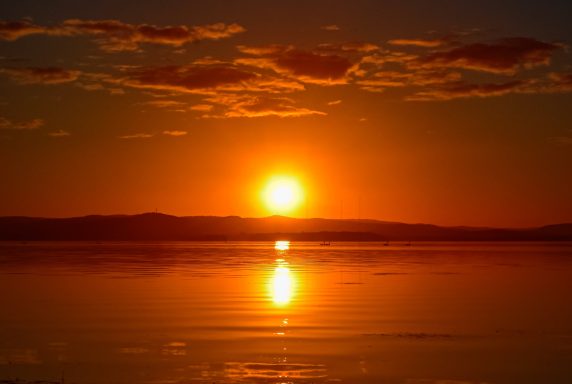 Atelier 1 : Euthanasie et accompagnement de fin de vie