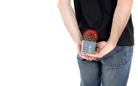 Plaintes hémorroïdaires : faire le tri et conseiller